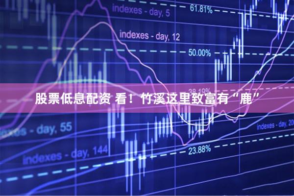 股票低息配资 看！竹溪这里致富有“鹿”