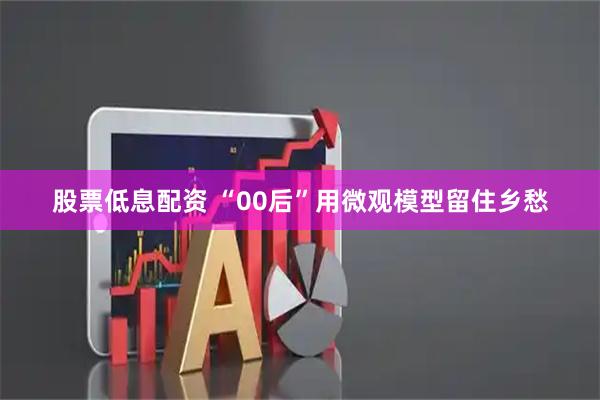 股票低息配资 “00后”用微观模型留住乡愁