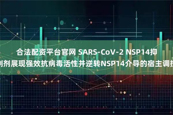 合法配资平台官网 SARS-CoV-2 NSP14抑制剂展现强效抗病毒活性并逆转NSP14介导的宿主调控