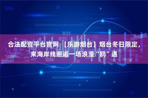 合法配资平台官网 【乐游烟台】烟台冬日限定，来海岸线邂逅一场浪漫“鸥”遇