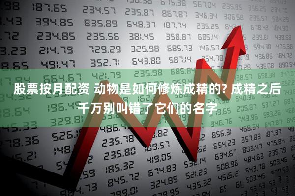 股票按月配资 动物是如何修炼成精的? 成精之后千万别叫错了它们的名字